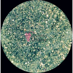 Pudra acrilica de 10g Amelie pentru constructie sau modelaj 3D - PDR17 Platinum Green Effect